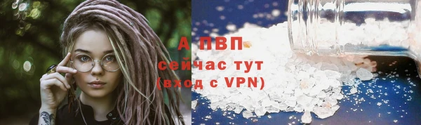 ECSTASY Новодвинск