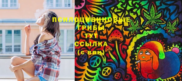 кокаин Новозыбков