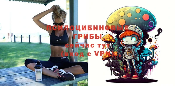 ECSTASY Новодвинск