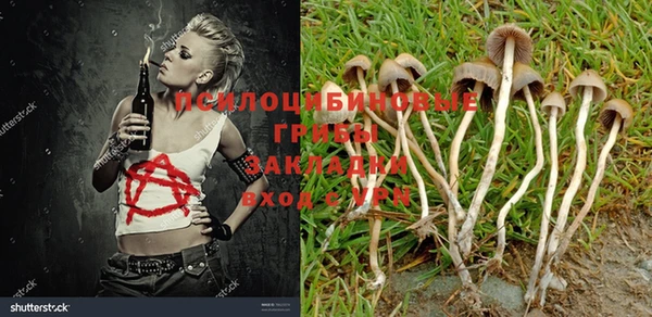 ECSTASY Новодвинск